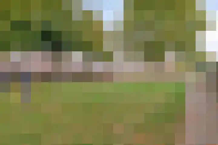 Akelei 114 Venray thumbnail 29