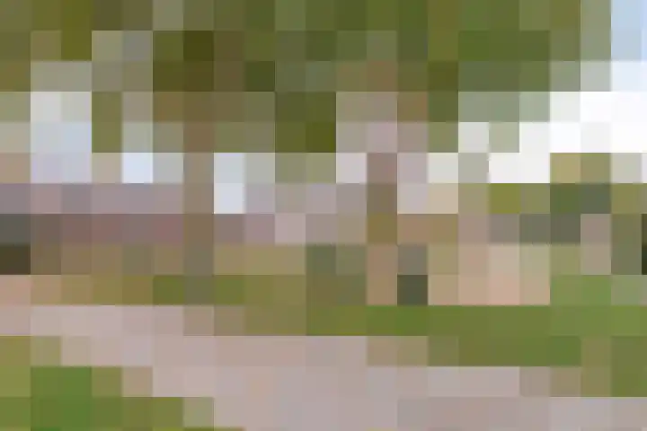 Akelei 114 Venray thumbnail 30