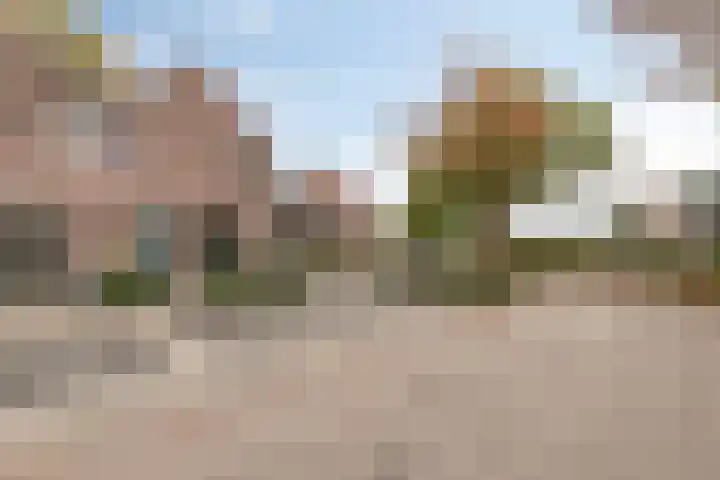Akelei 114 Venray thumbnail 32