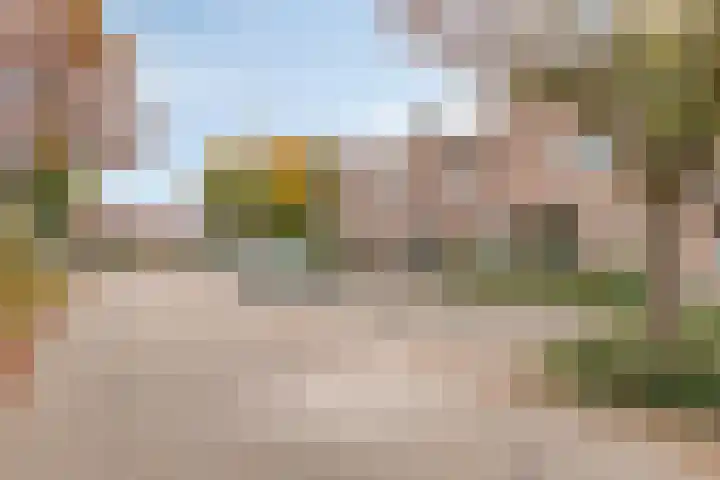 Akelei 114 Venray thumbnail 33