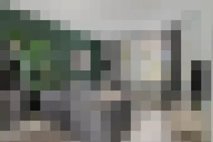 Akelei 114 Venray thumbnail 6