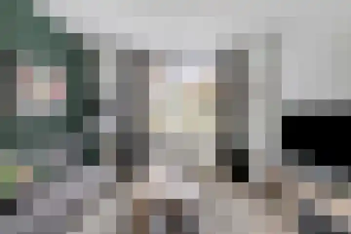 Akelei 114 Venray thumbnail 7