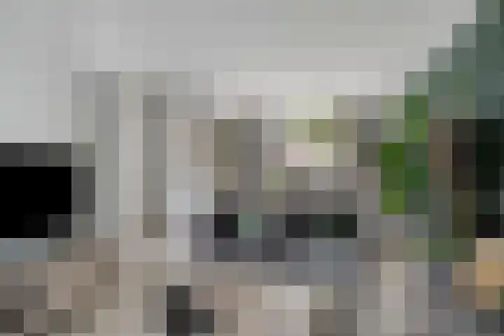 Akelei 114 Venray thumbnail 8