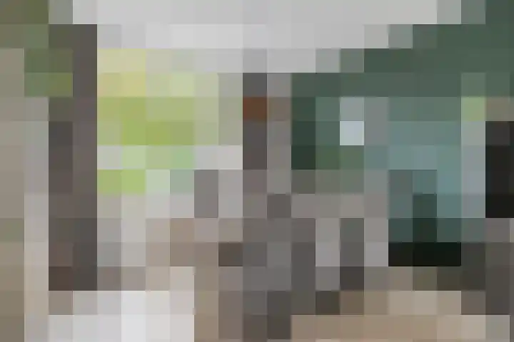Akelei 114 Venray thumbnail 9
