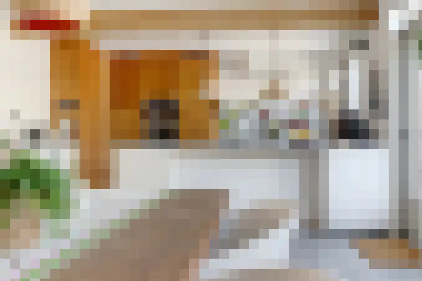 Akelei 12 Tiel thumbnail 10