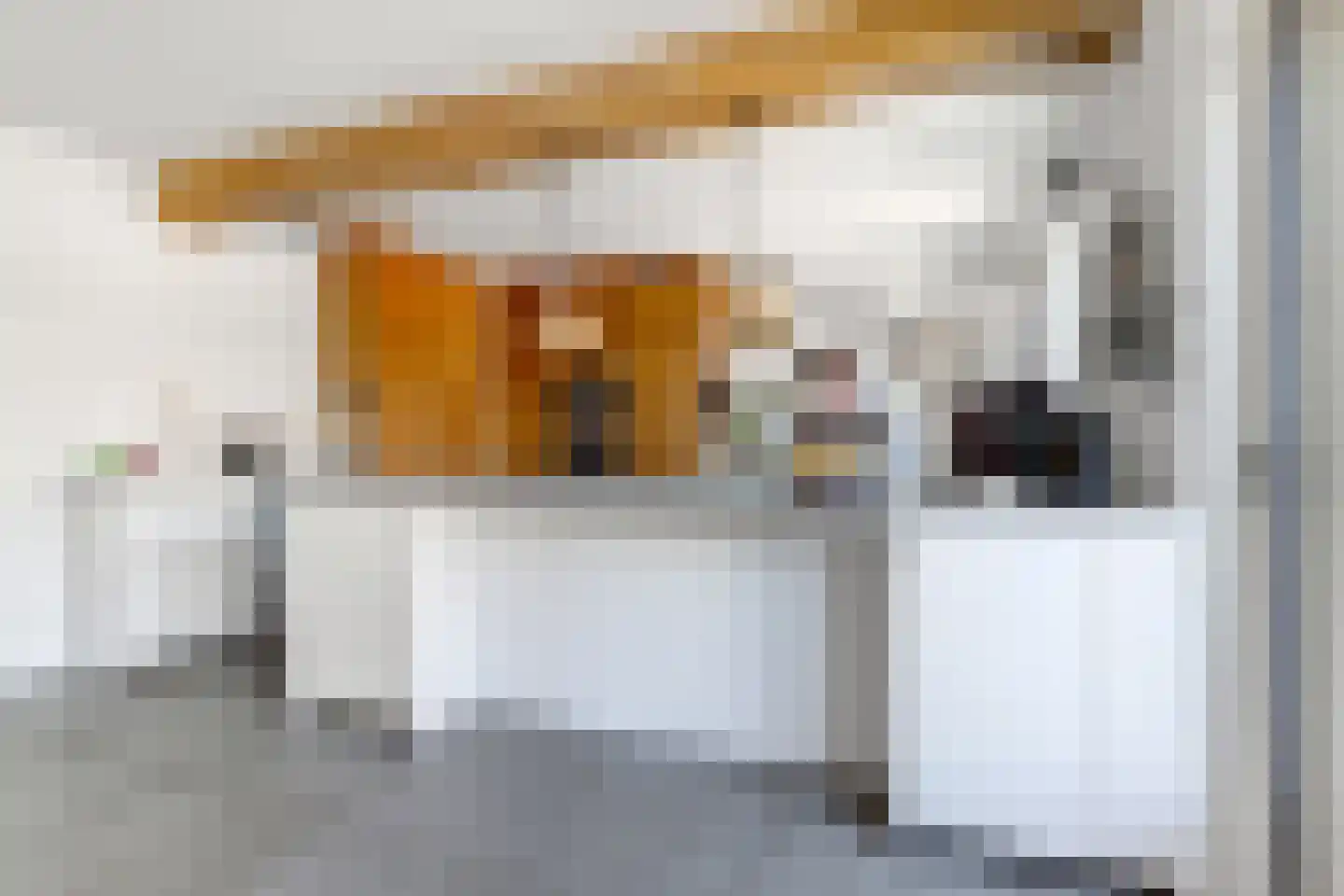 Akelei 12 Tiel thumbnail 11