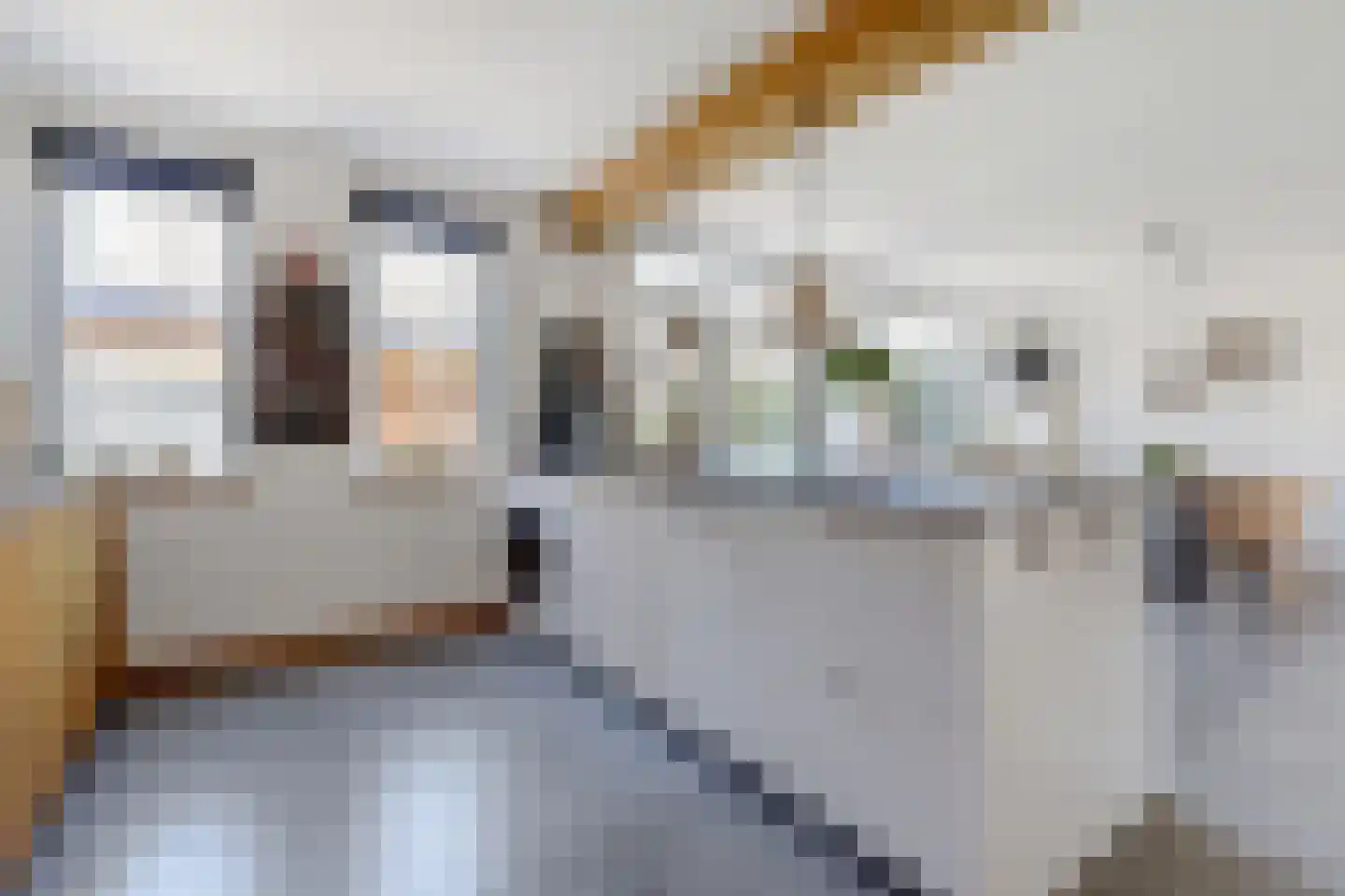 Akelei 12 Tiel thumbnail 12