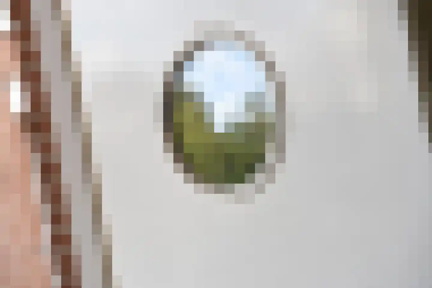 Akelei 12 Tiel thumbnail 12