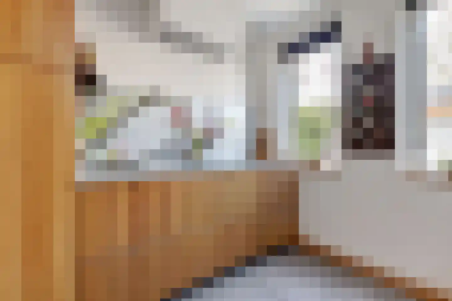 Akelei 12 Tiel thumbnail 14