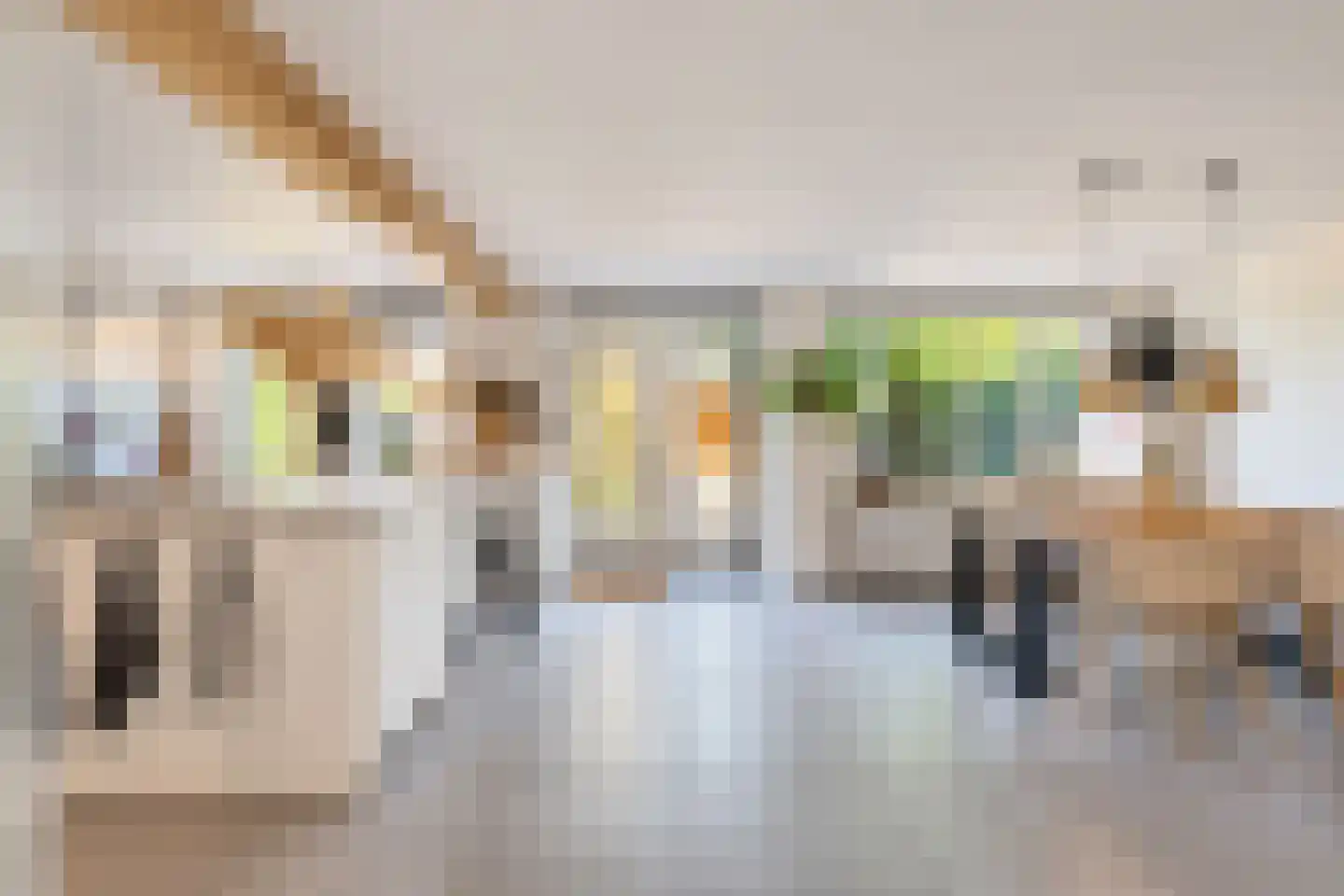 Akelei 12 Tiel thumbnail 17