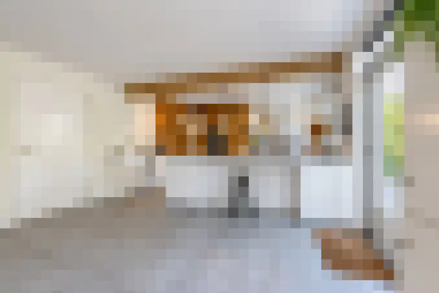 Akelei 12 Tiel thumbnail 22