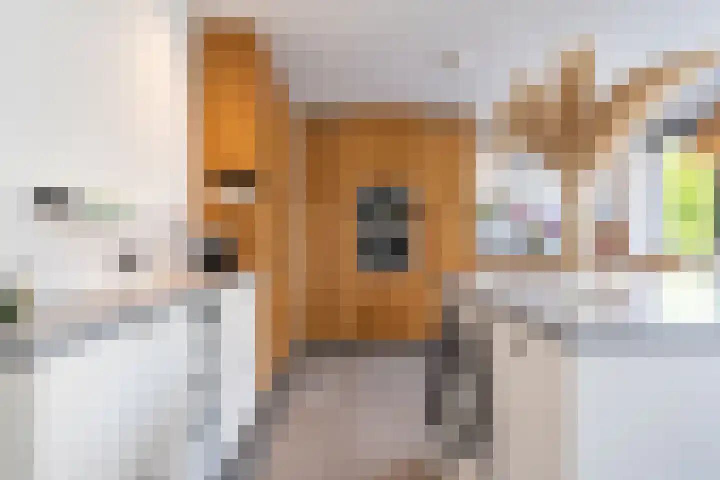 Akelei 12 Tiel thumbnail 23