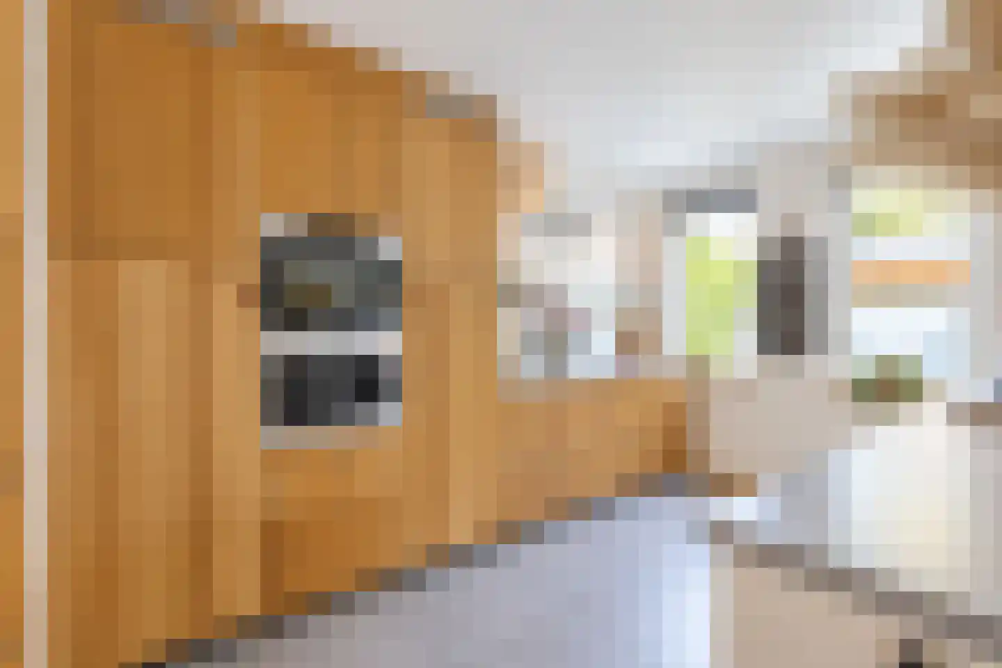 Akelei 12 Tiel thumbnail 24