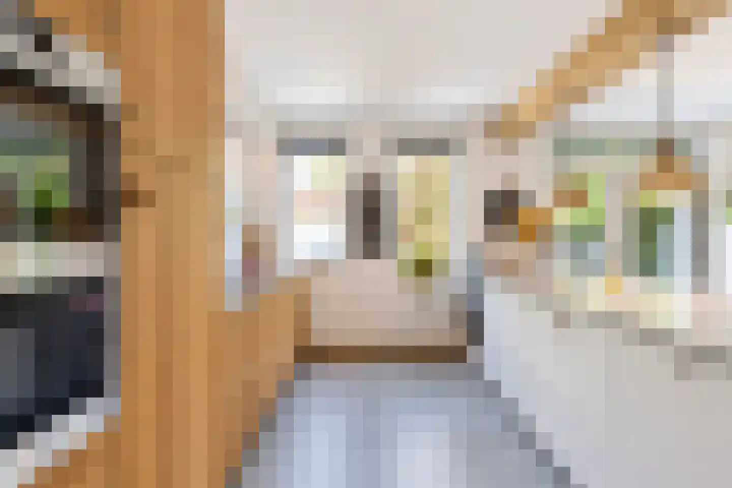 Akelei 12 Tiel thumbnail 25