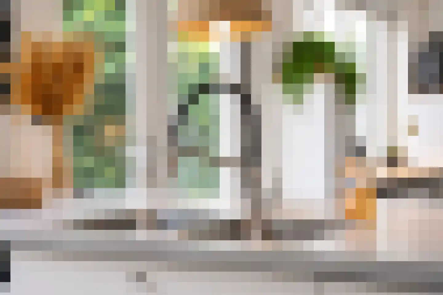 Akelei 12 Tiel thumbnail 26