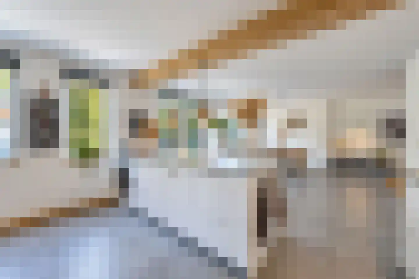 Akelei 12 Tiel thumbnail 28