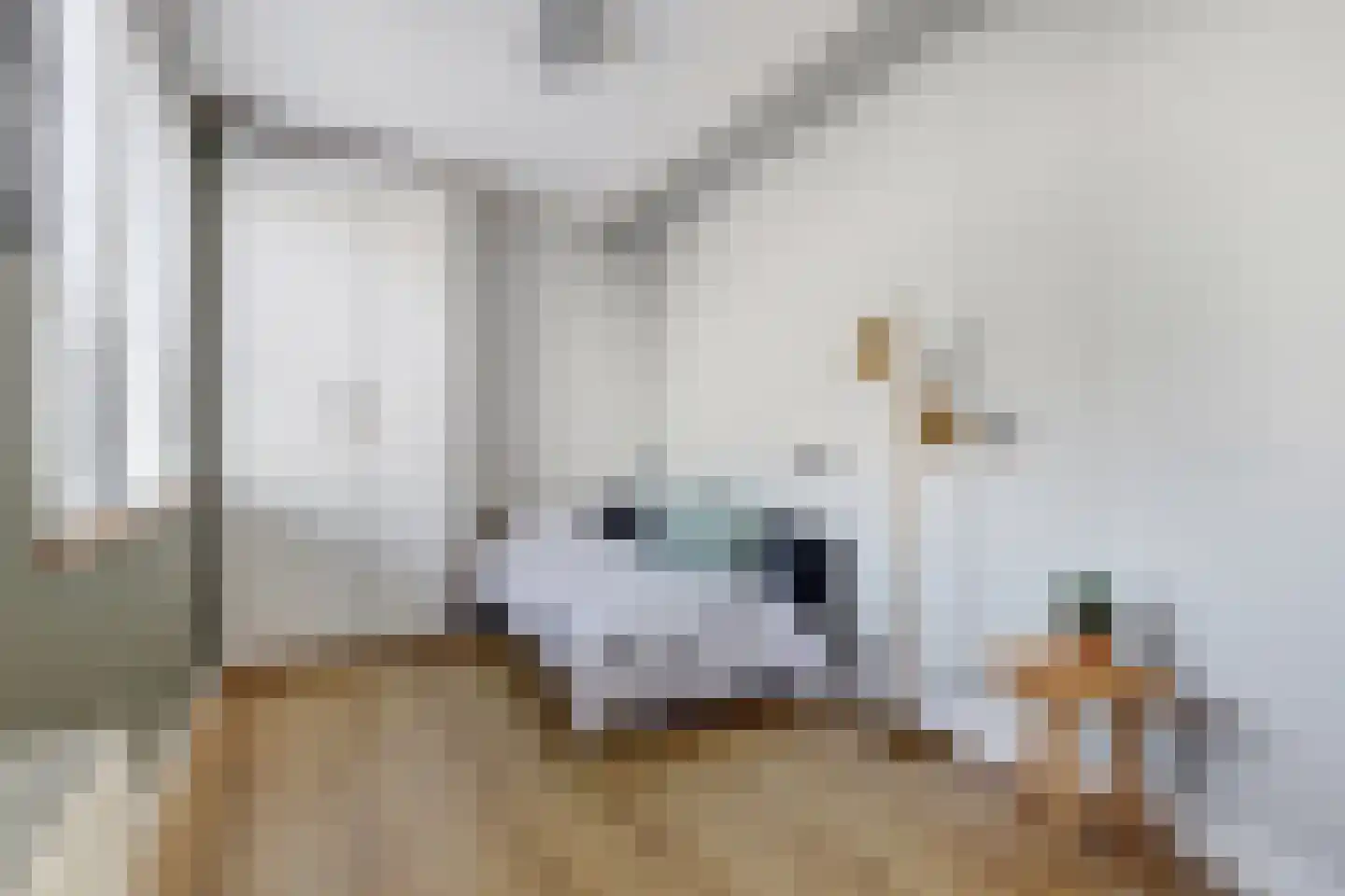 Akelei 12 Tiel thumbnail 29
