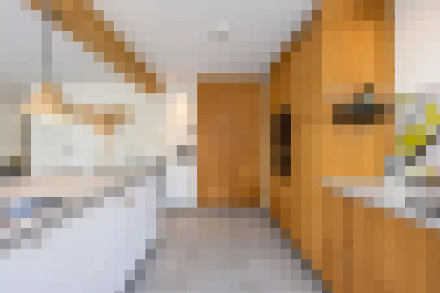 Akelei 12 Tiel thumbnail 29