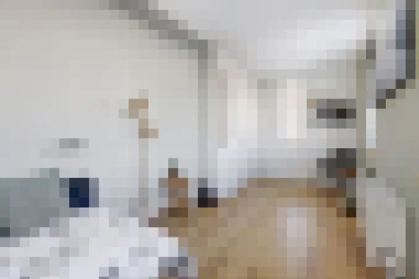 Akelei 12 Tiel thumbnail 30