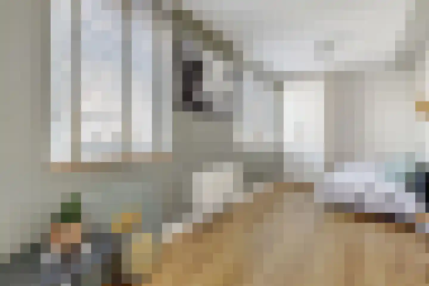 Akelei 12 Tiel thumbnail 31