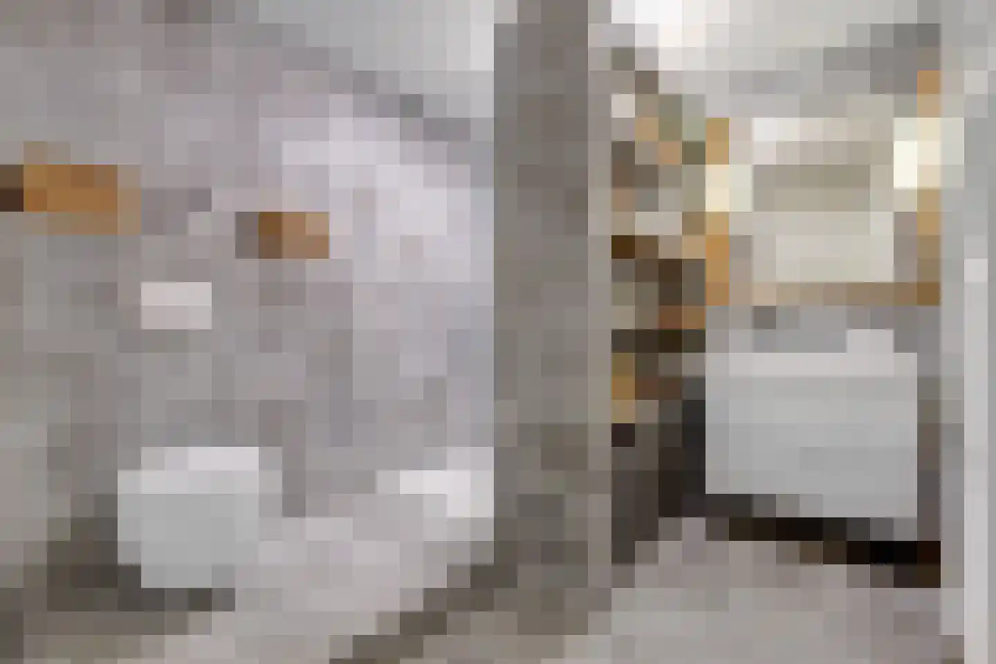 Akelei 12 Tiel thumbnail 32