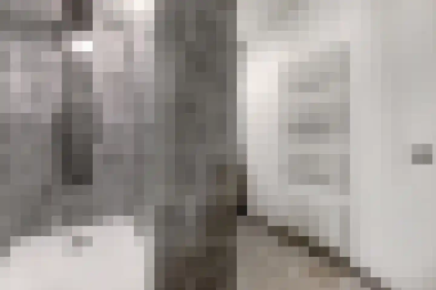 Akelei 12 Tiel thumbnail 34