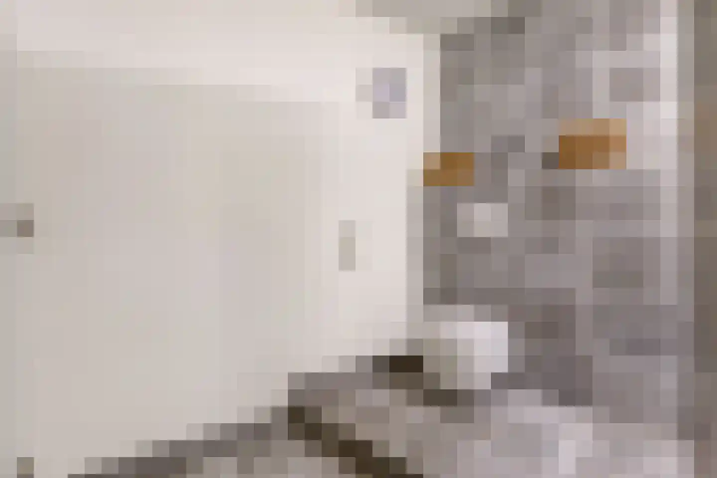 Akelei 12 Tiel thumbnail 35