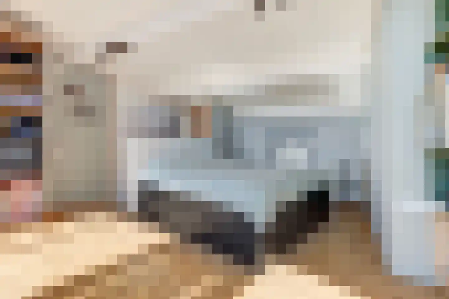 Akelei 12 Tiel thumbnail 37
