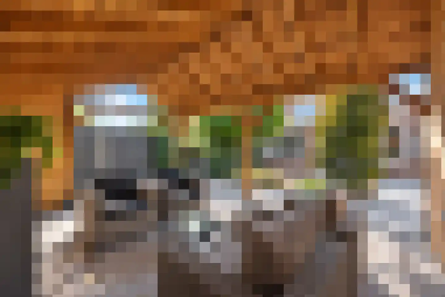 Akelei 12 Tiel thumbnail 4