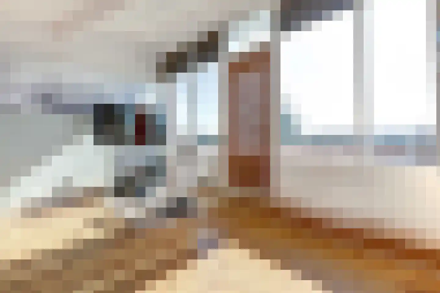 Akelei 12 Tiel thumbnail 40