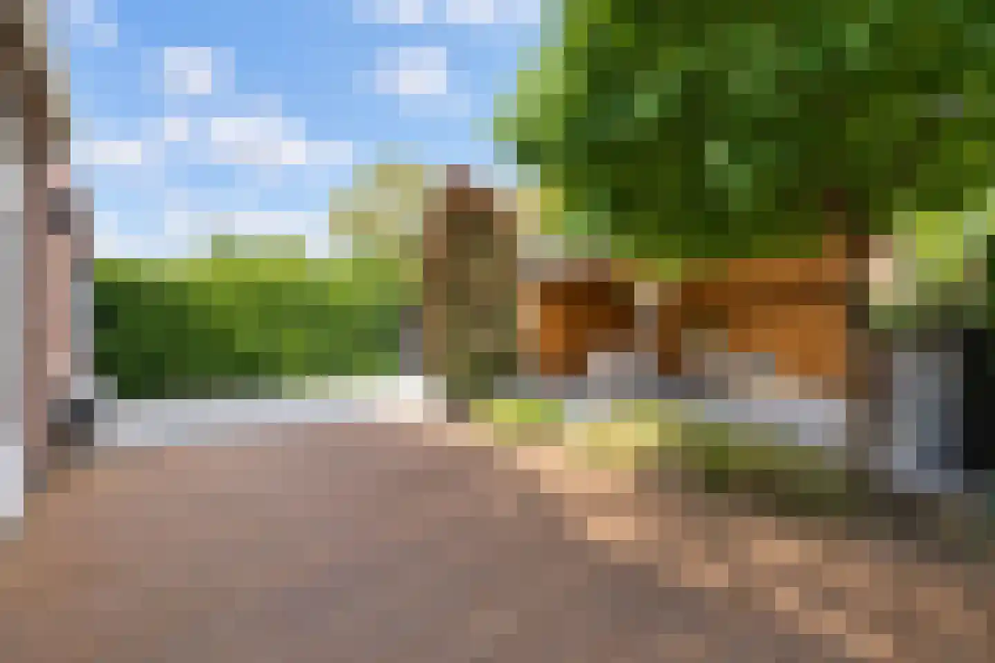Akelei 12 Tiel thumbnail 43