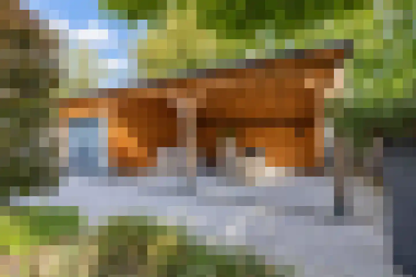 Akelei 12 Tiel thumbnail 44