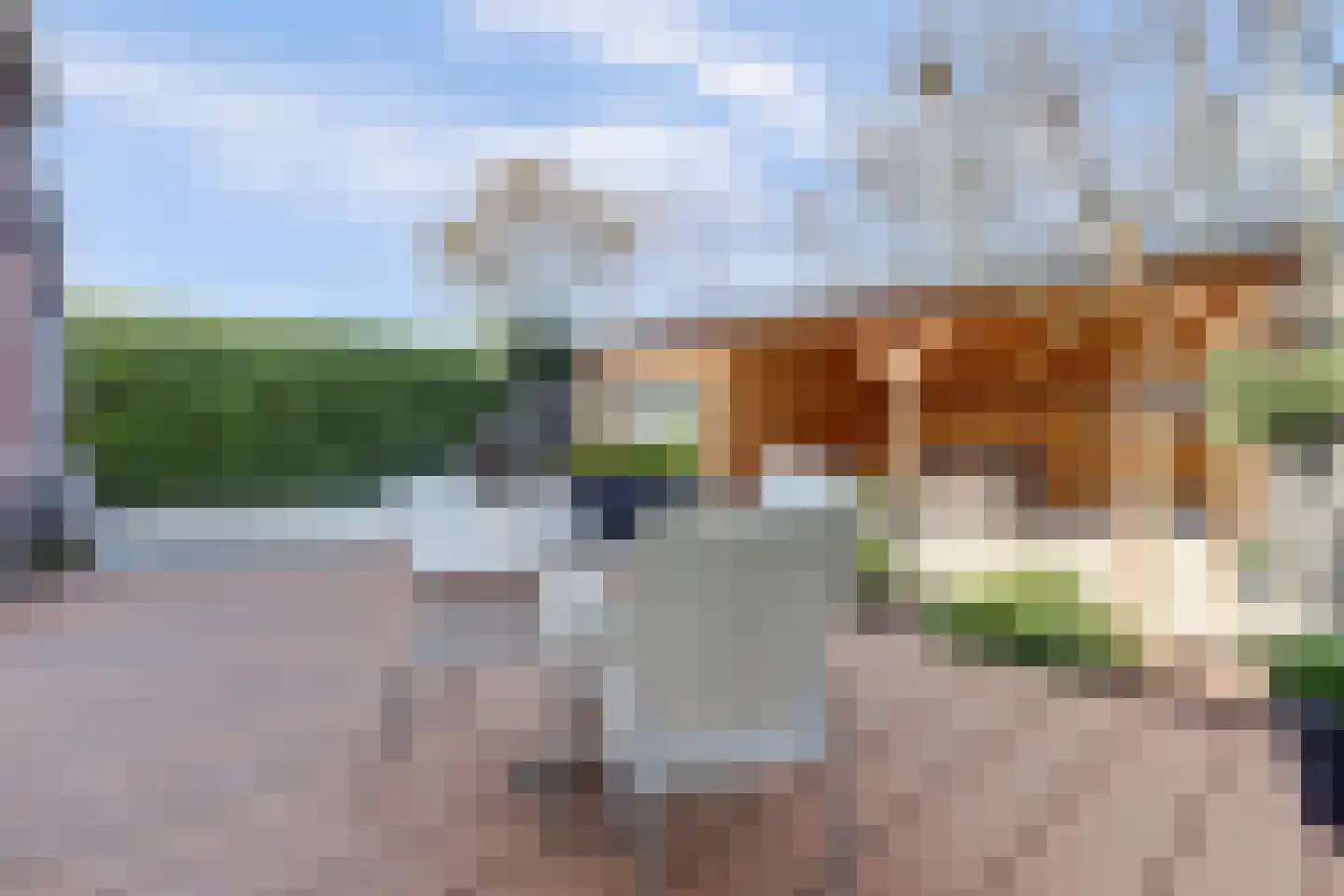 Akelei 12 Tiel thumbnail 46