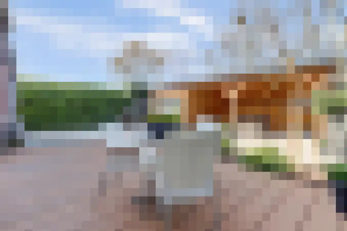 Akelei 12 Tiel thumbnail 46