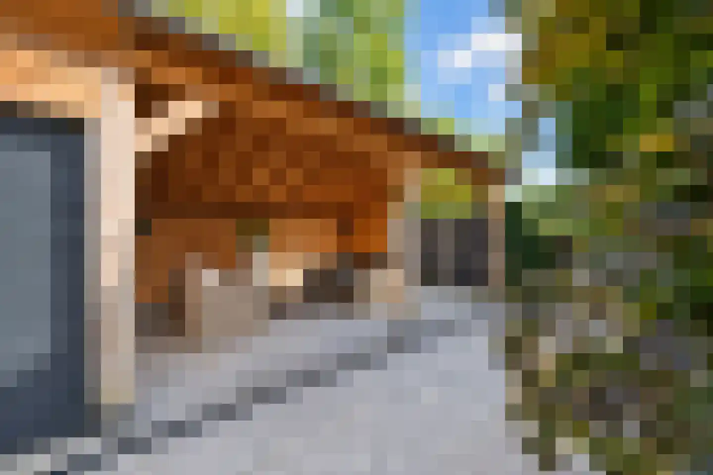 Akelei 12 Tiel thumbnail 50