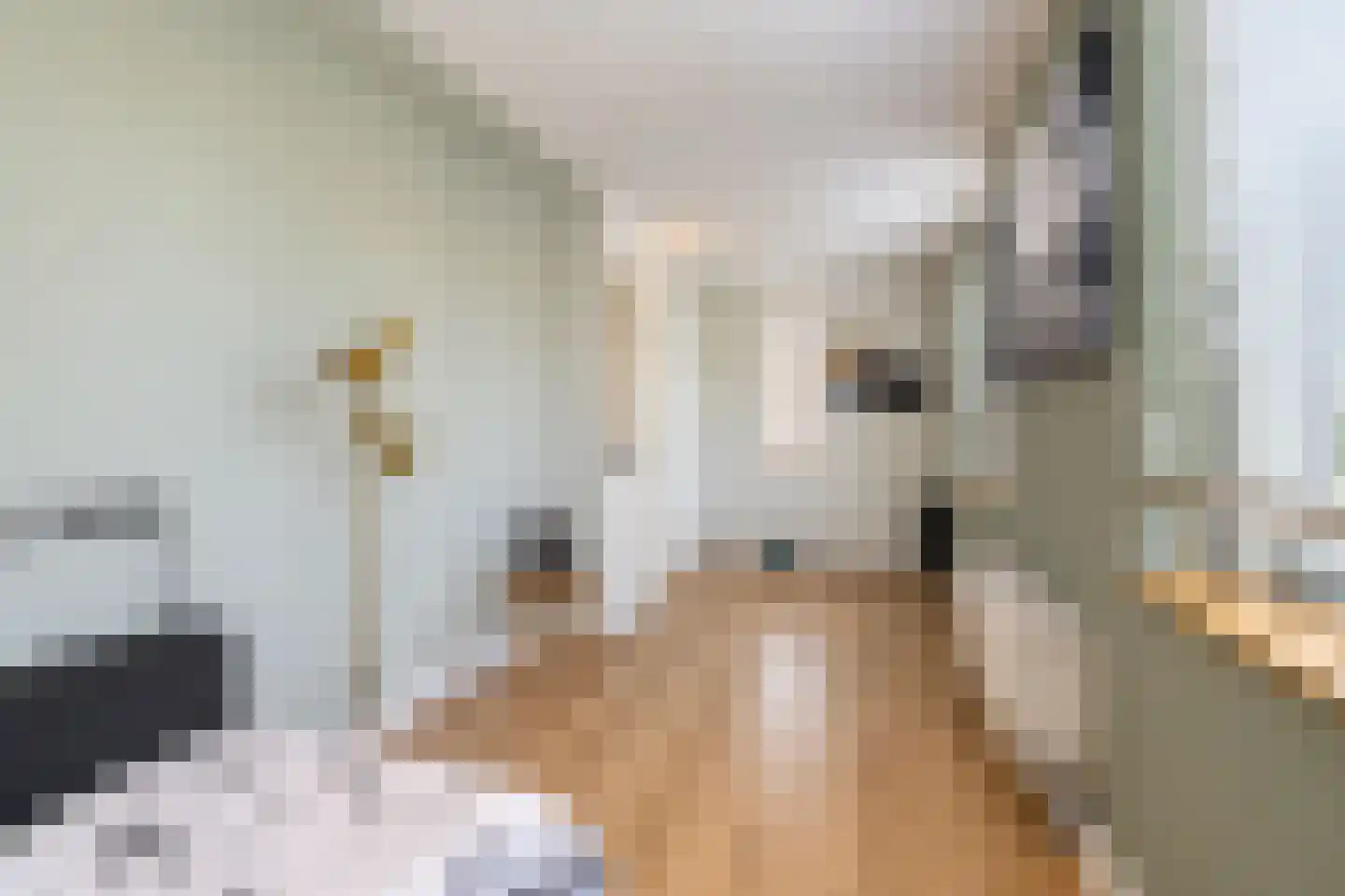 Akelei 12 Tiel thumbnail 62