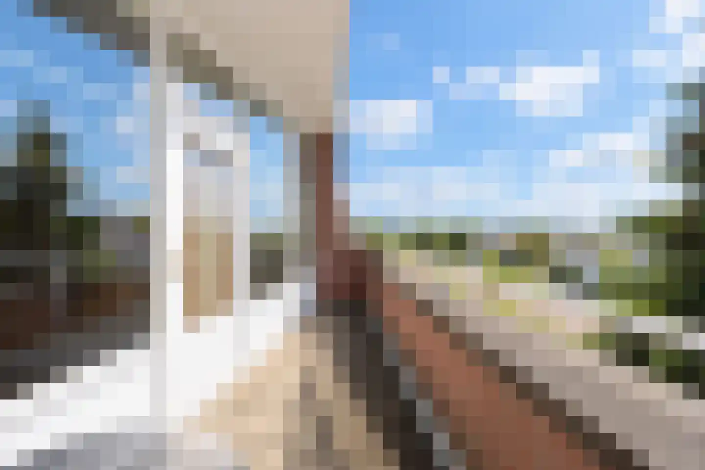 Akelei 12 Tiel thumbnail 73