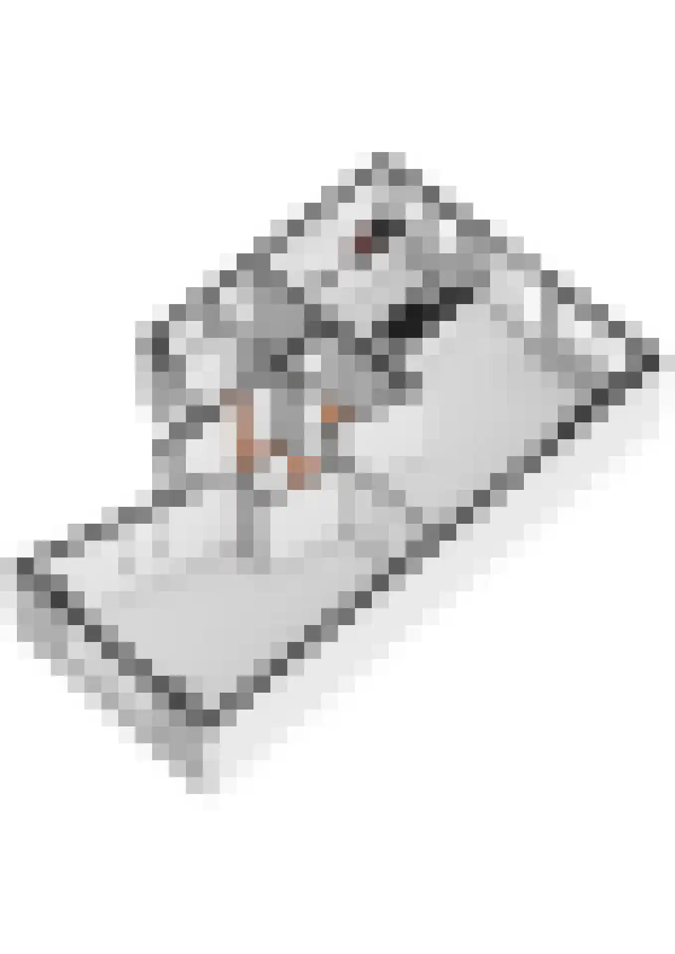 Akelei 12 Tiel thumbnail 80