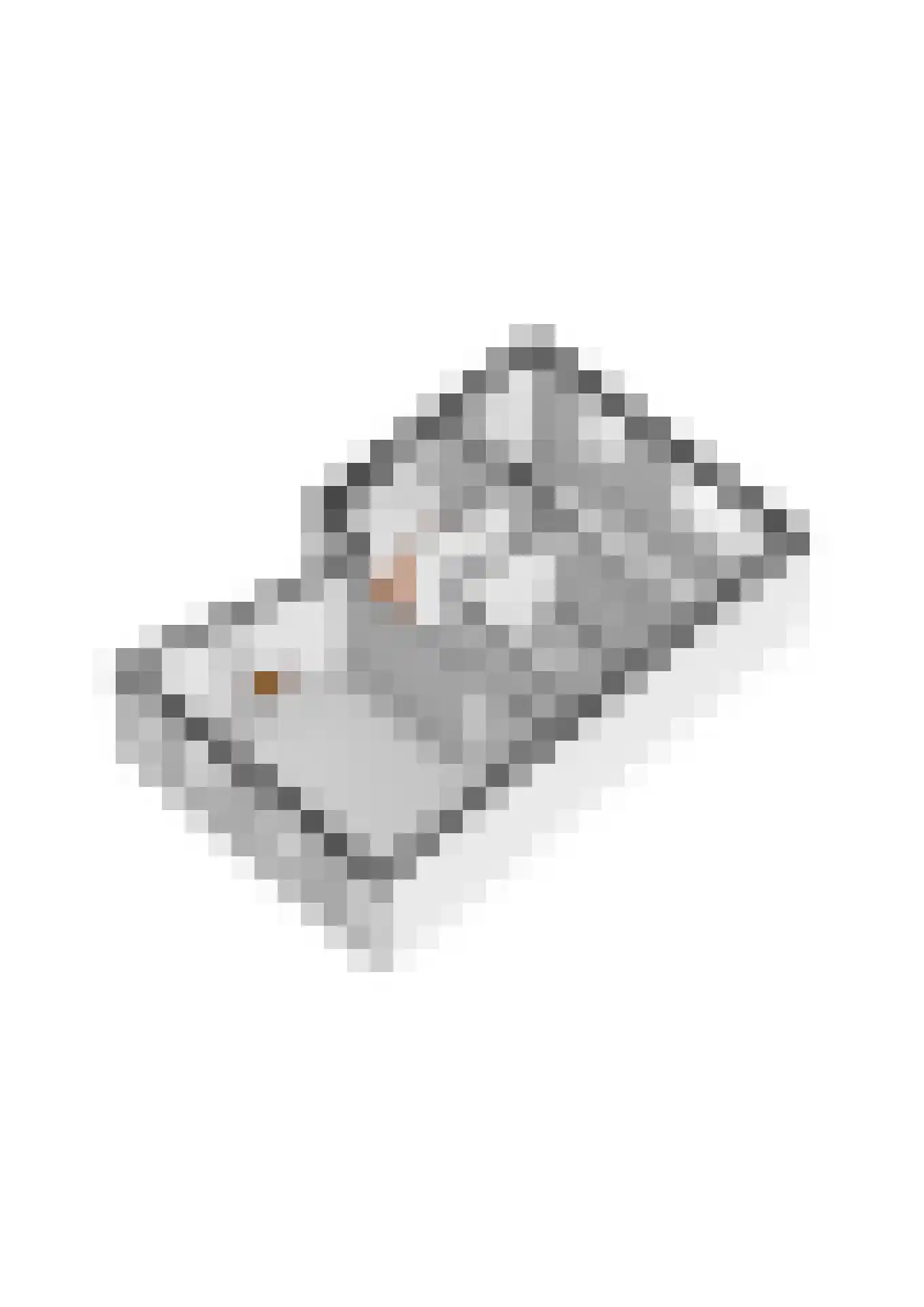 Akelei 12 Tiel thumbnail 82