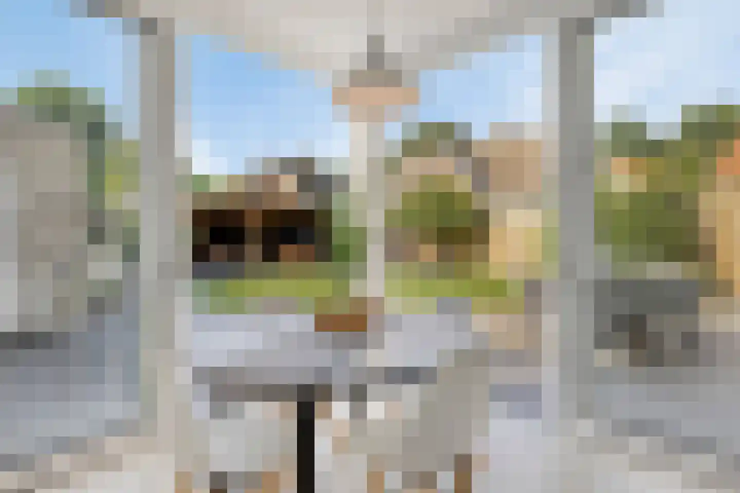 Akelei 13 Kerkdriel thumbnail 36