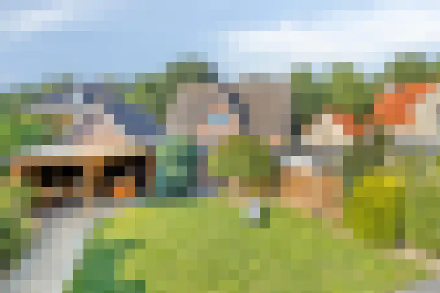 Akelei 13 Kerkdriel thumbnail 69