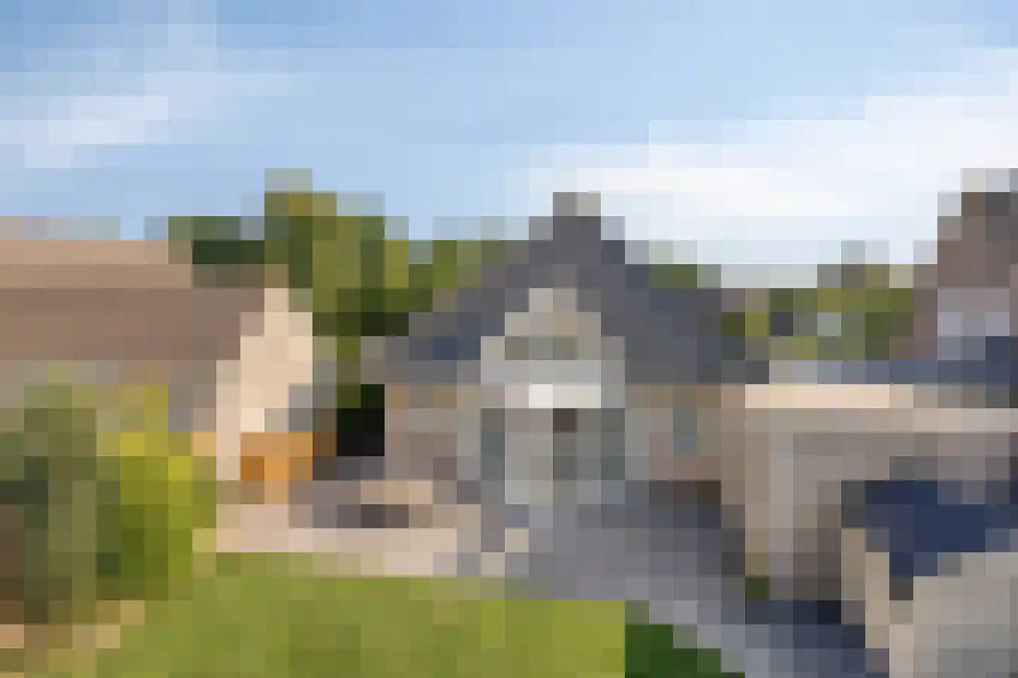 Akelei 13 Kerkdriel thumbnail 70
