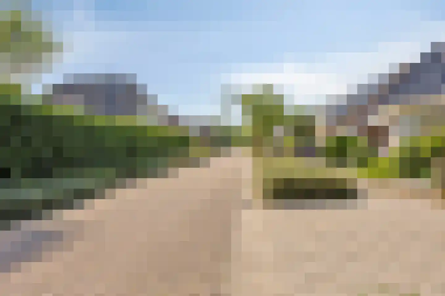 Akelei 13 Kerkdriel thumbnail 84