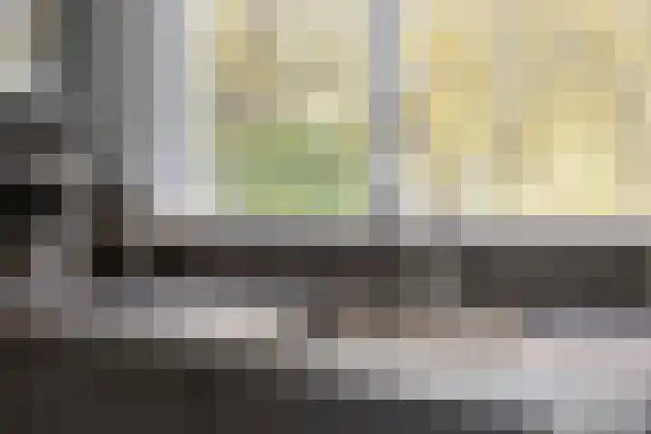 Akelei 16 Breukelen thumbnail 10