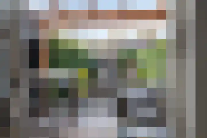 Akelei 16 Breukelen thumbnail 13