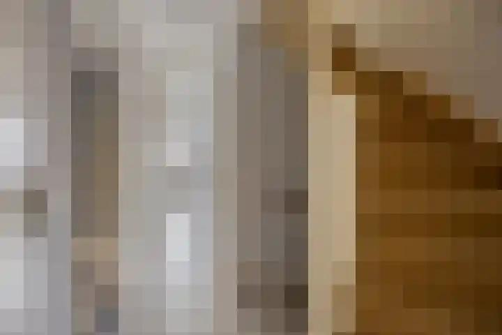 Akelei 16 Breukelen thumbnail 16