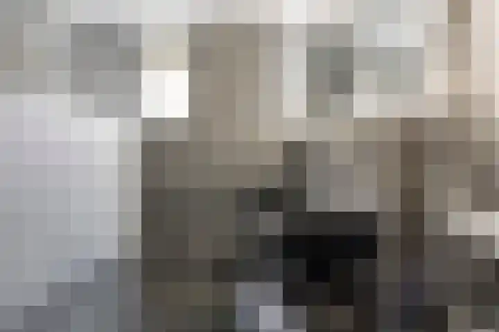 Akelei 16 Breukelen thumbnail 22