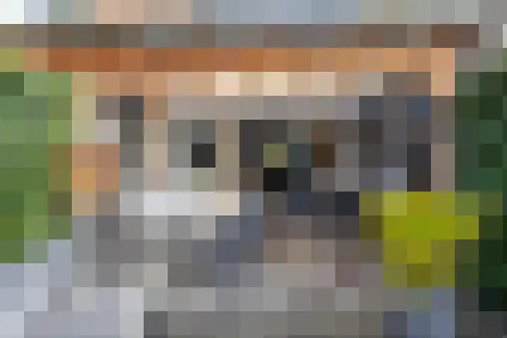 Akelei 16 Breukelen thumbnail 29