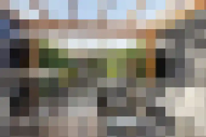 Akelei 16 Breukelen thumbnail 30