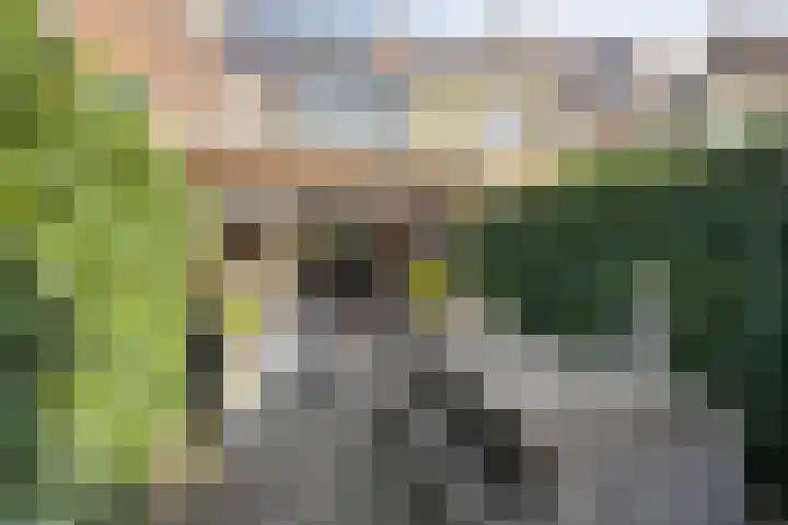 Akelei 16 Breukelen thumbnail 31